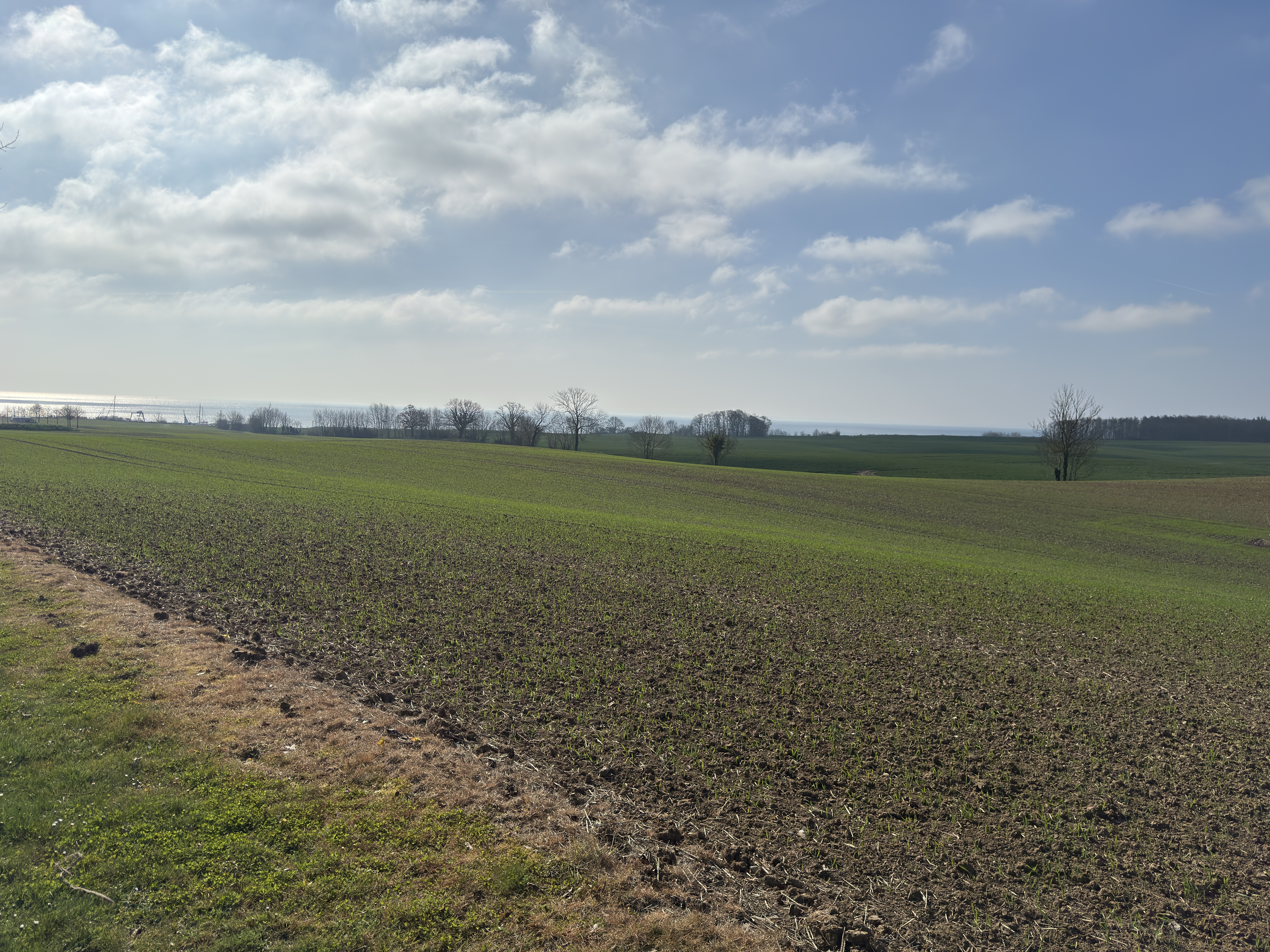 Landschaft mit Bergen und See